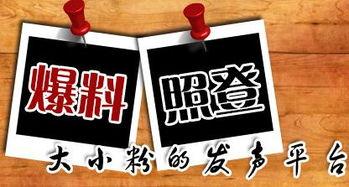 新闻大爆料粒子,新闻大爆料带你探索微观世界的奇迹